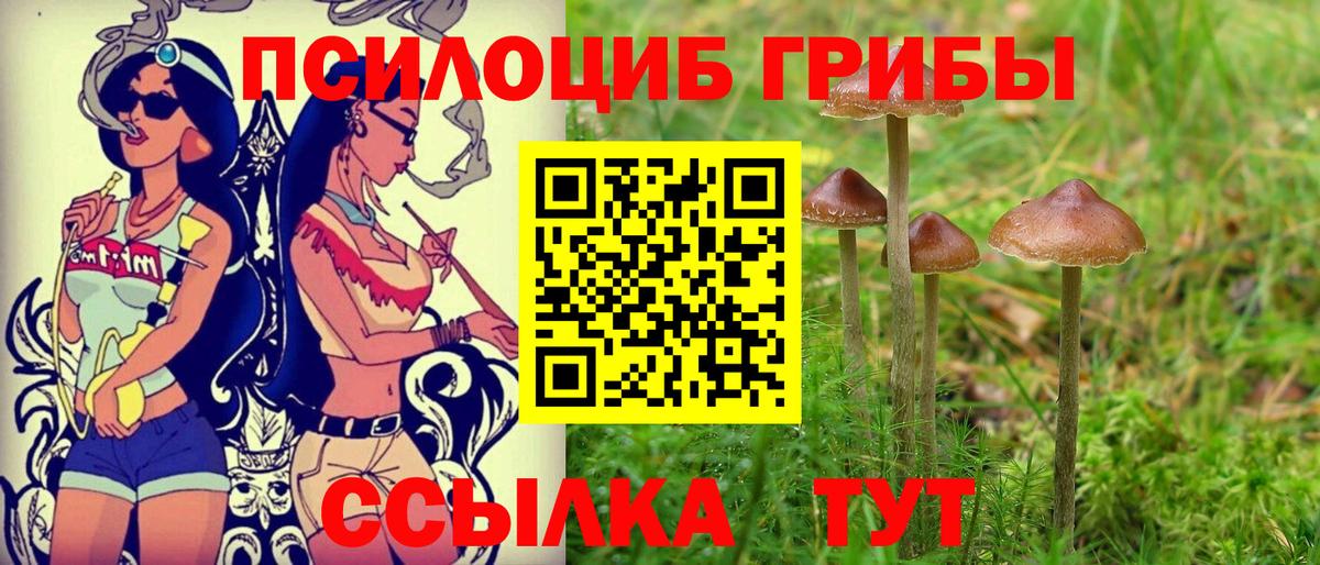 Галлюциногенные грибы Cubensis Десногорск